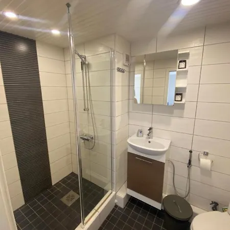 Appartamento Cosy Studio In *